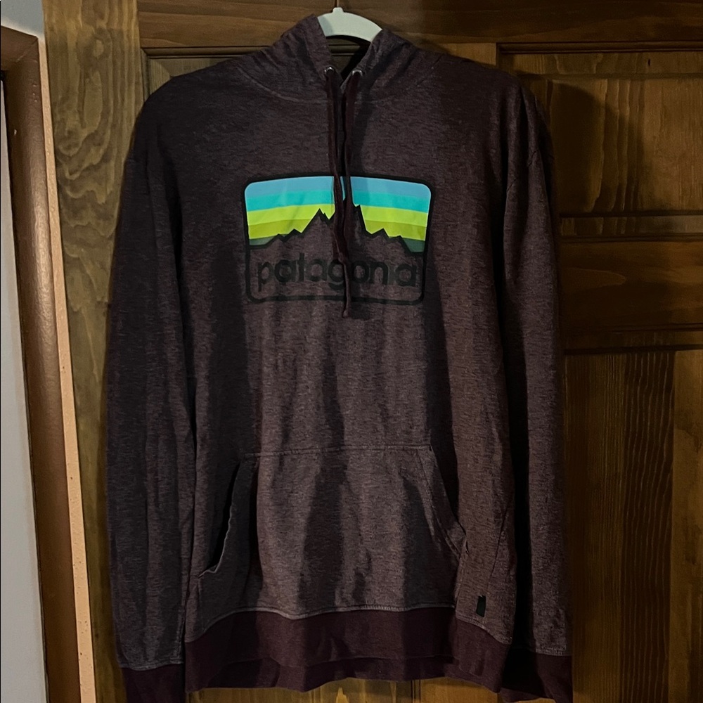 Patagonia plum hoodie EUC size M